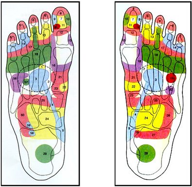 Foot Acupressure Chart