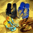 havaianas-flip-flops