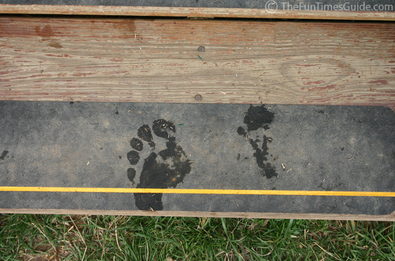 A big wet foot print on our backyard steps.
